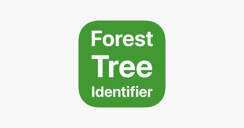 Forest Tree Identifier Image