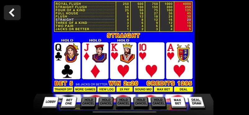 Fun Casino Slots screenshot