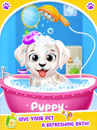 Labrador Puppy Daycare Salon Image