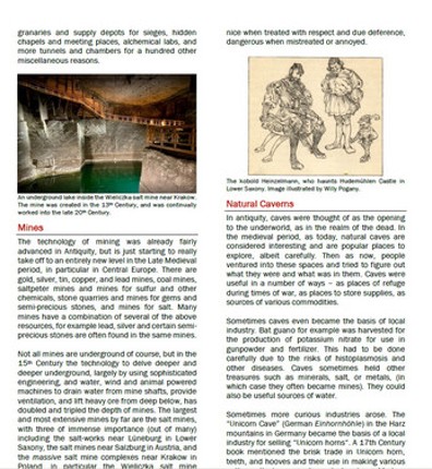 Codex Integrum Player's Guide Image