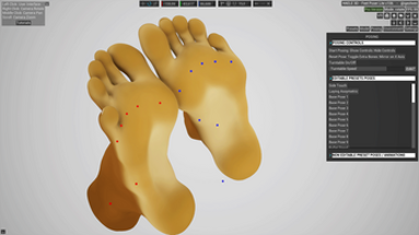 HAELE 3D - Feet Poser Lite Image