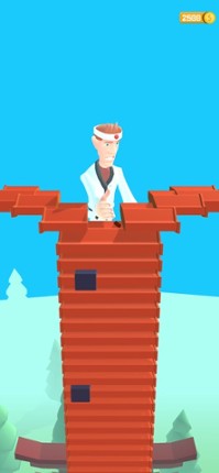 Karate Boy 3D screenshot