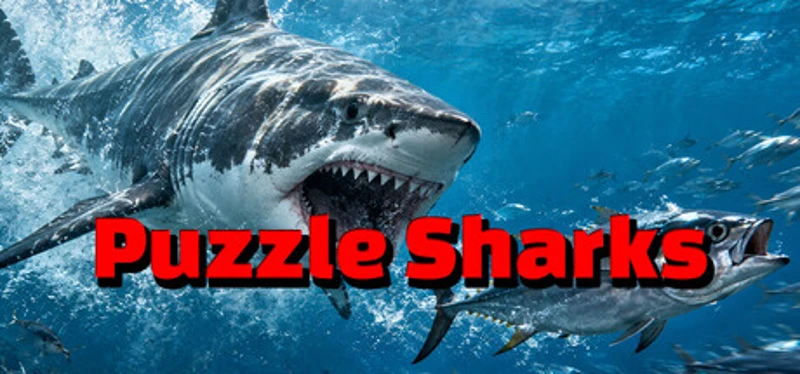 Puzzle Sharks Image