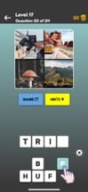 Quiz: 4 Pics Game Image