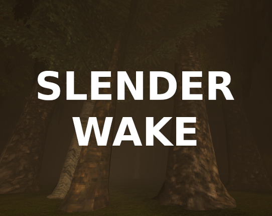Slender Wake Image