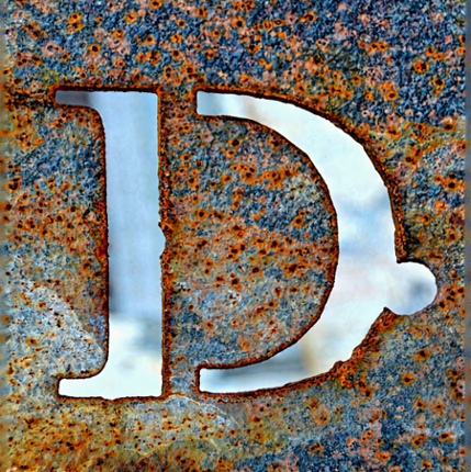 D for Disaster Image