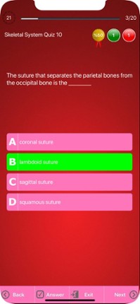 Human Skeletal System Trivia Image