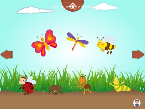 Ivy Insects screenshot