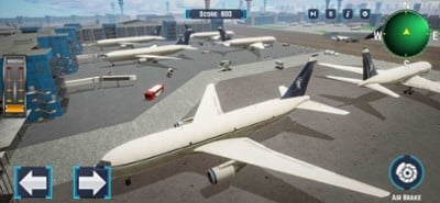 Passenger Airplane Flight Sim Image