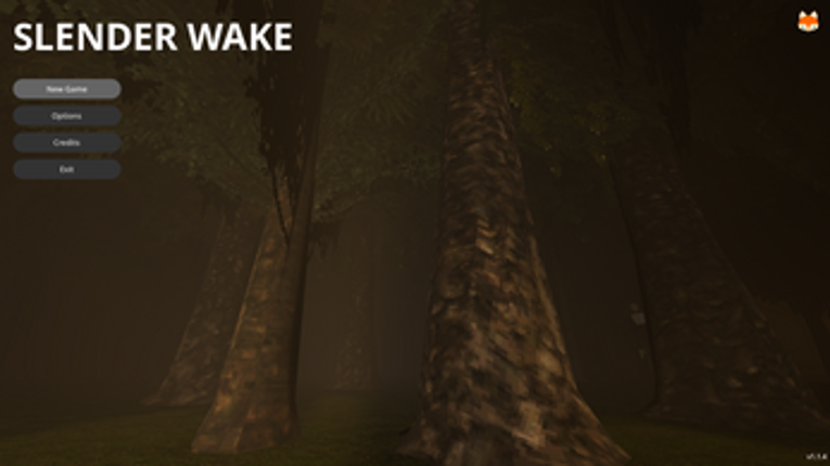 Slender Wake Image