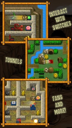 Armadillo Gold Rush Image
