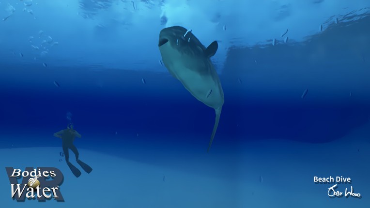 Bodies of Water VR screenshot