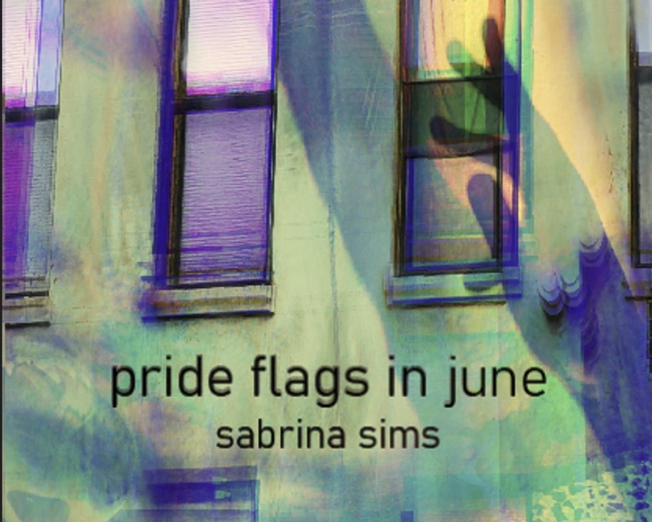 Games like pride flags in june (nyc 2022)