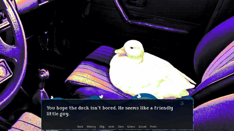 A Road Trip With a Duck Image