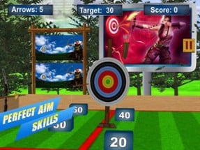 Archery Target Master Pro Image