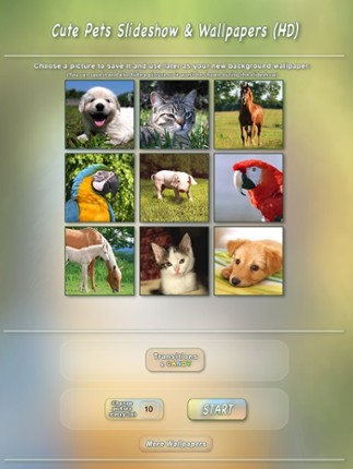 Cute Pets Slideshow & Wallpapers (HD) screenshot