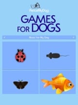 Dog Toy - Fun Games for Dogs Image