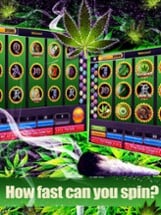 Dream of Weed Slot Machines – Free Slots &amp; Casino Image