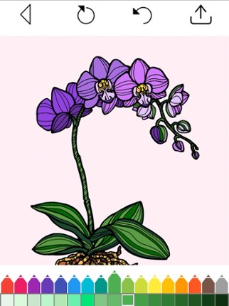 Flower Coloring Book Games Image