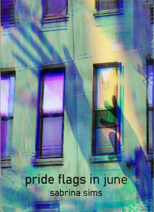 pride flags in june (nyc 2022) Image