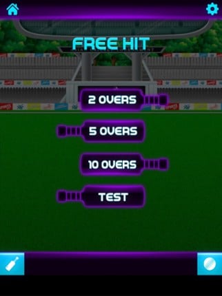 Knock Knock Cricket 2019 screenshot