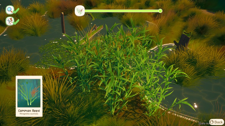 Out and About screenshot