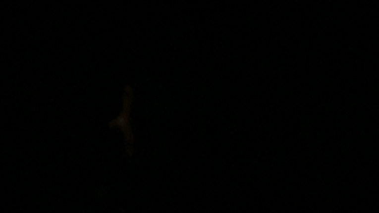 She Had To Let Me Go Image