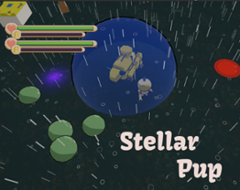 Stellar Pup Image