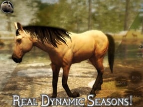 Ultimate Horse Simulator 2 Image