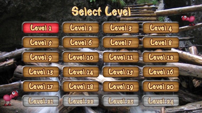 Ant Work TV screenshot