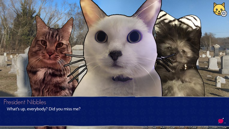 Cat President: 3rd-Rate Candidate screenshot