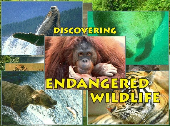 Discovering Endangered Wildlife Image