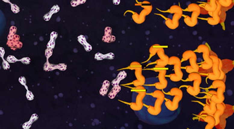 Ovus Nova screenshot