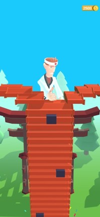 Karate Boy 3D screenshot