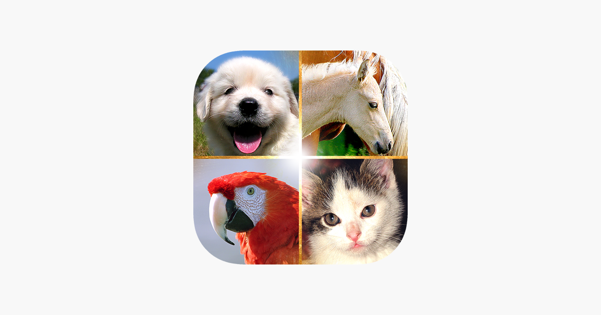 Games like Cute Pets Slideshow & Wallpapers (HD)