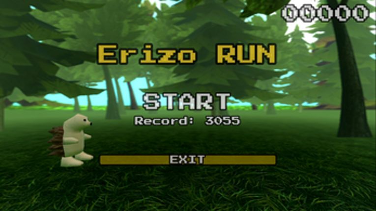 Erizo Run screenshot