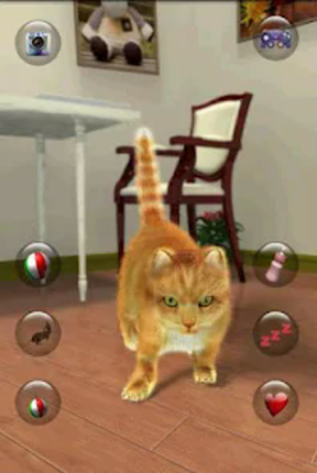 Talking Lovely Cat Image