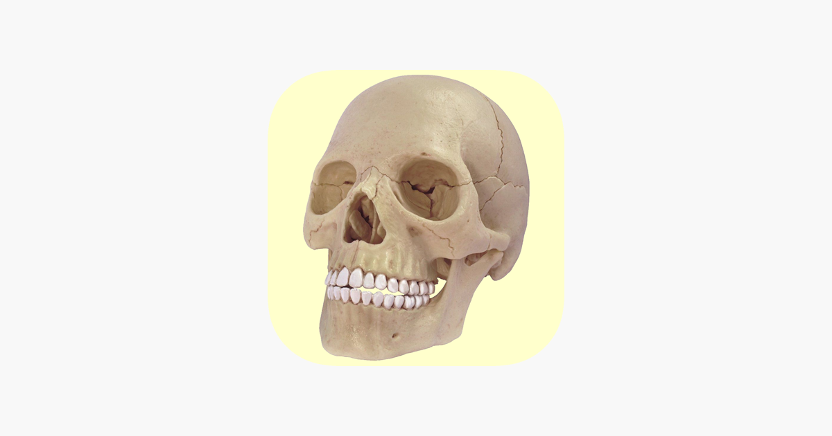 Games like Human Skeletal System Trivia