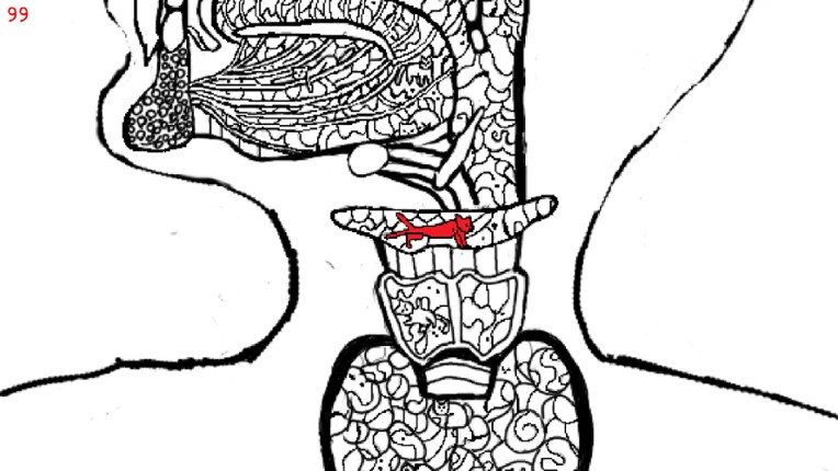 Let's Find Cats Inside the Human Body screenshot