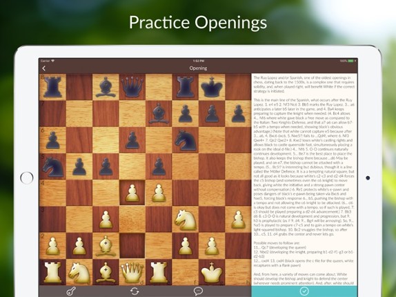 Chess Tactics and Lessons Image