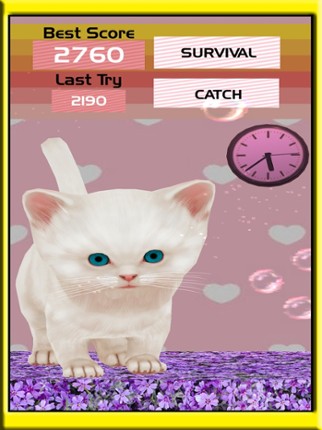 Cute Kitty Run Simulator – Pet Cat Game 2017 Image