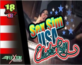 Sex Sim USA - Electric Pussy Image