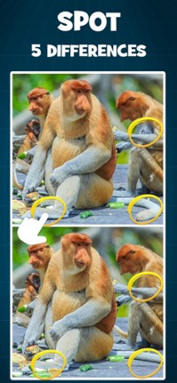 Global Spot The Difference screenshot