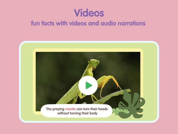 Insects and Bugs for kids Image