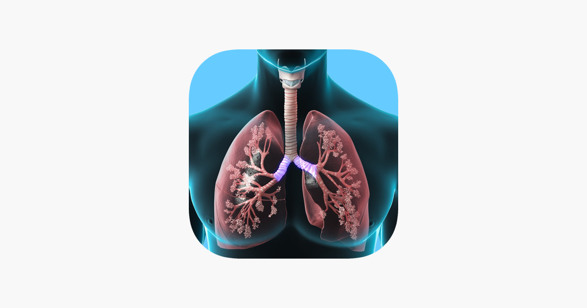 Games like Respiratory System Trivia