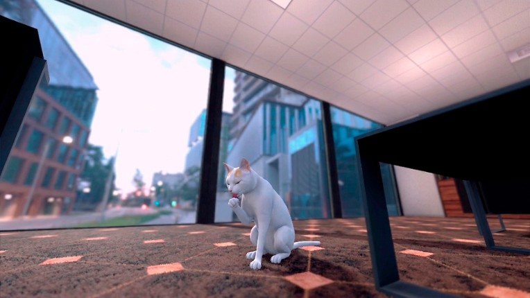 The Office Cat screenshot