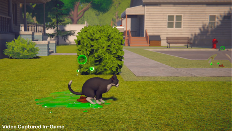 Whose Lawn Is It Anyway Image