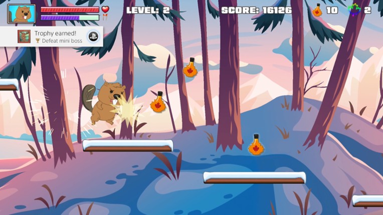 Beaver Run Image