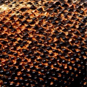 Games like Draconic Detainment