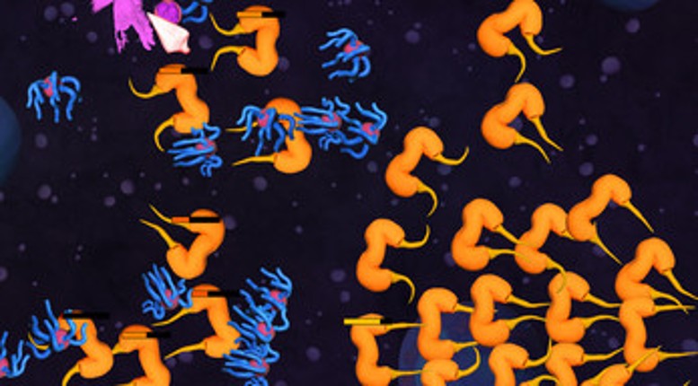 Ovus Nova Image